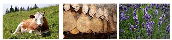 ekološko svetovanje